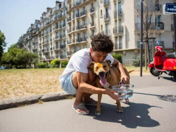 Fortes chaleurs, ces gestes utiles et efficaces pour vos animaux domestiques