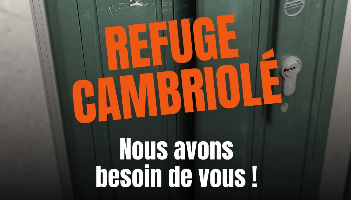 Cambriolage choquant à la SPA : le refuge attaqué après sa journée portes ouvertes