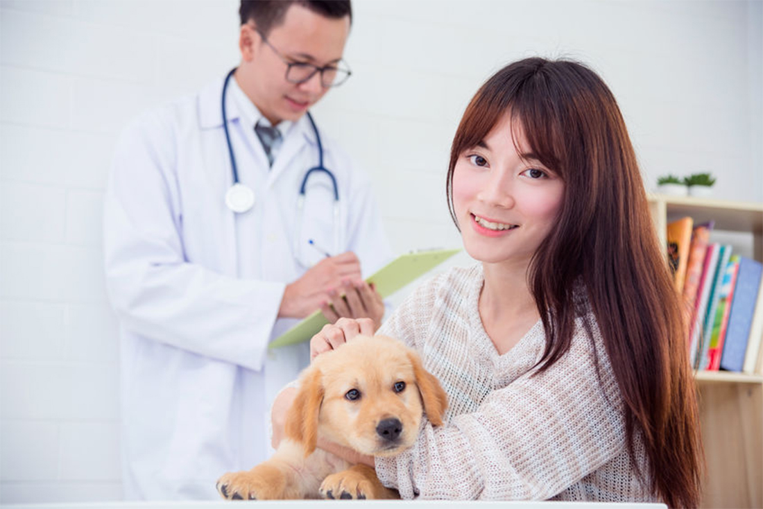 Comment prendre soin de la santé intestinale de son chien au quotidien ?