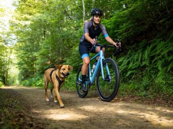 Découvrez les erreurs à éviter absolument à vélo avec votre chien !
