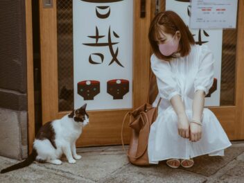 Aujourd&rsquo;hui les jeunes Chinois préfèrent adopter des animaux plutôt que d&rsquo;avoir des enfants