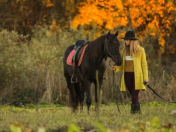 Incendies de forêt : les chevaux, alliés surprenants pour la protection des paysages méditerranéens