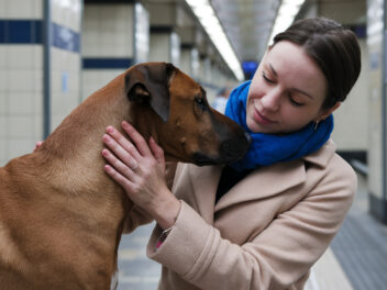 Cette chienne transforme le métro londonien en oasis de bonheur : son histoire va vous émouvoir !