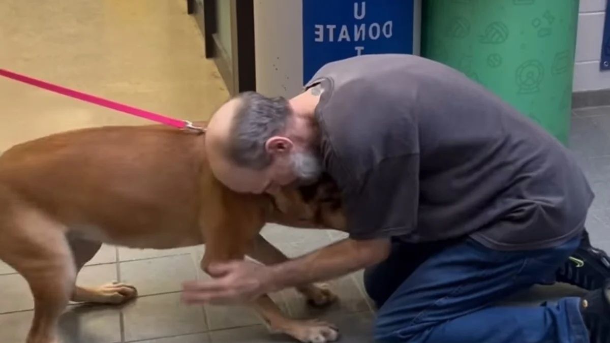 Séparés par le cancer : il retrouve son chien après 2 ans de combat pour la vie !