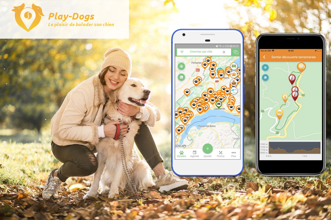découvrez l'application Play-Dogs