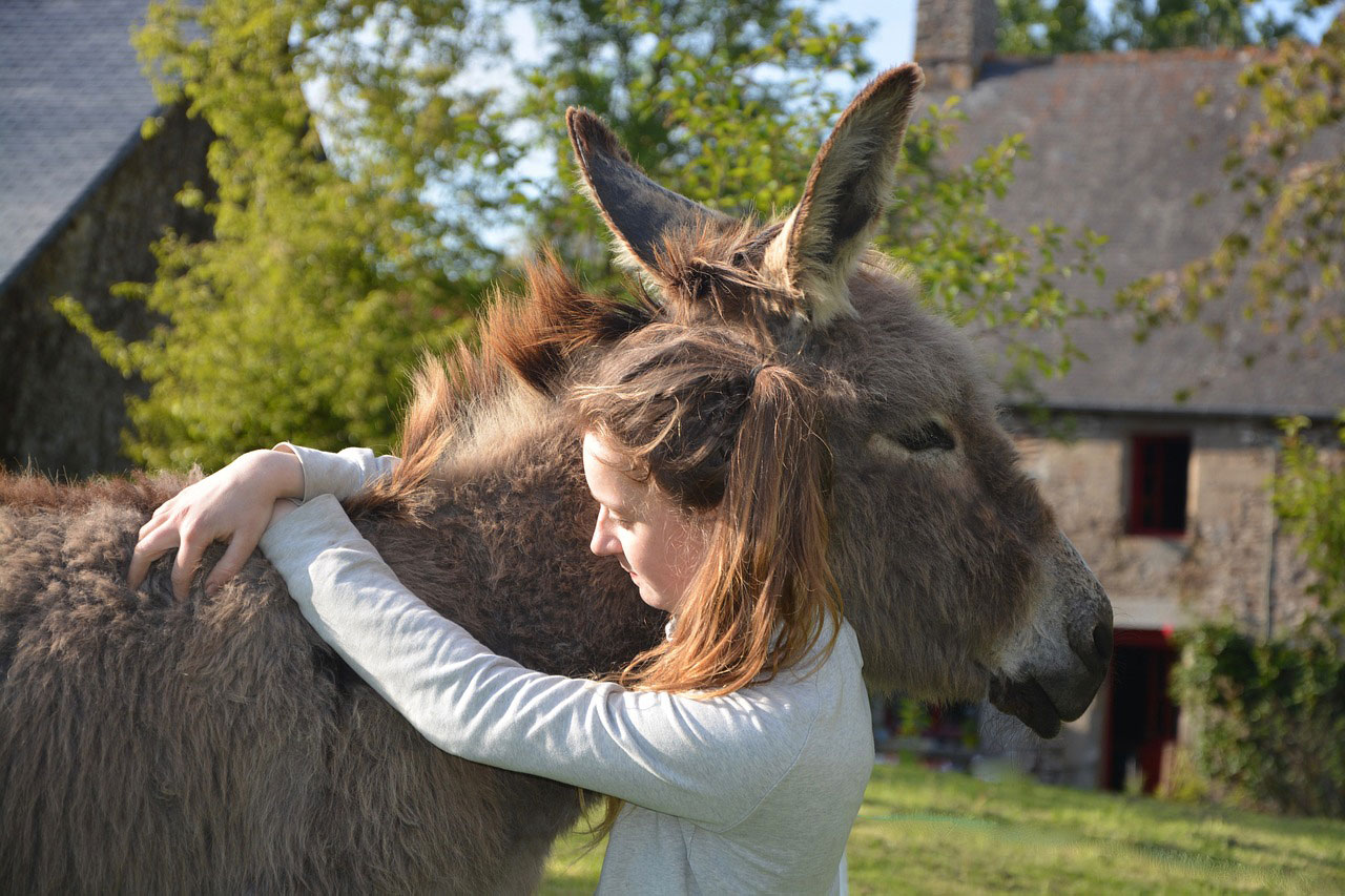 parler à son animal rendrait plus intelligent