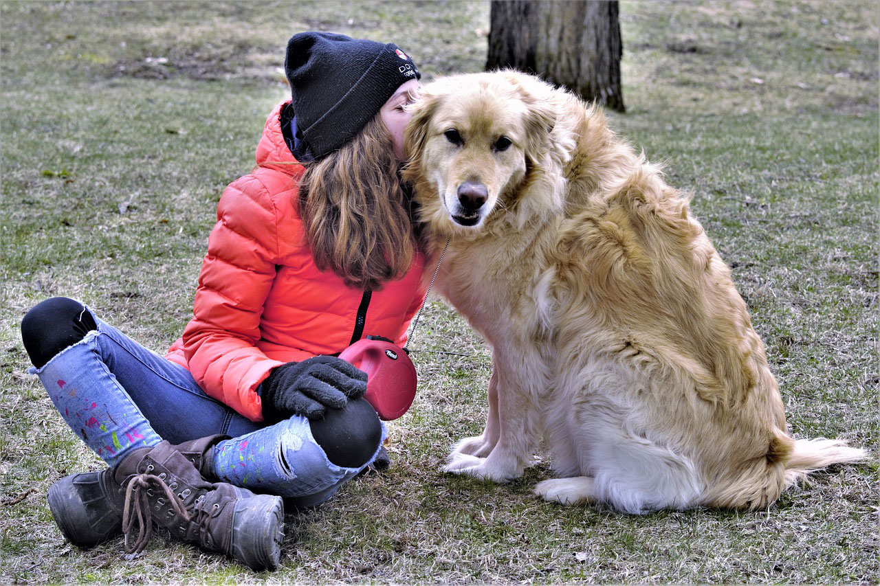 races de chien les plus calmes