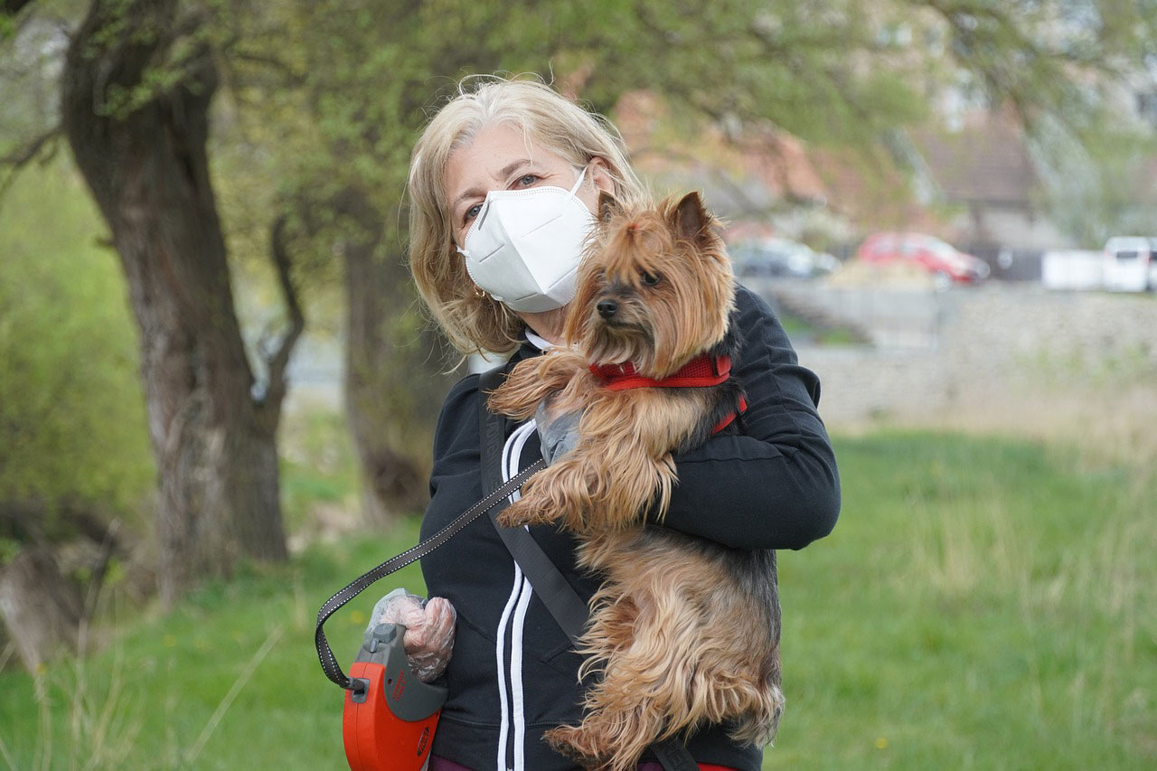 habituer votre animal au déconfinement