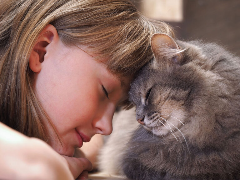 10 signes que votre chat vous aime