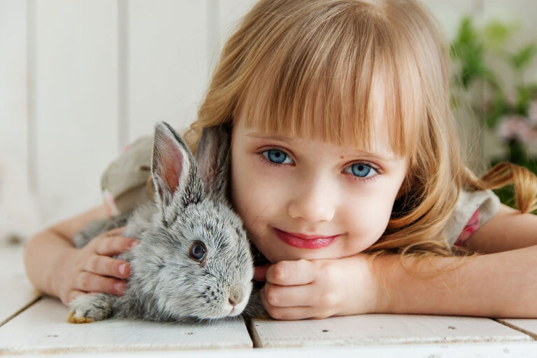 Le lapin domestique : Un rongeur très attachant