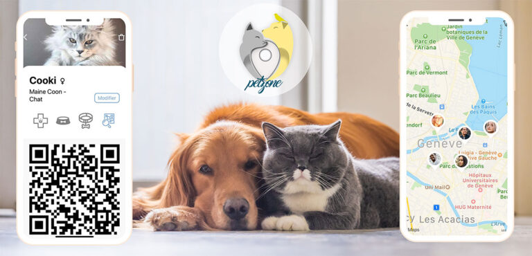 Petzone : l’application mobile solidaire dédiée aux animaux de compagnie