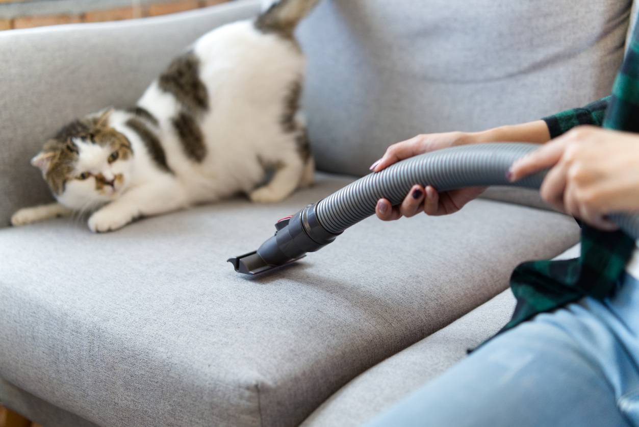 aspirateur poils animaux