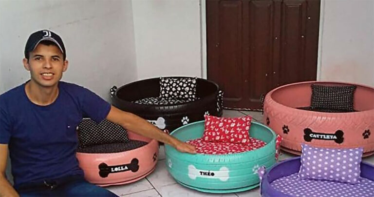 Des pneus recyclés en paniers pour chiens et chats