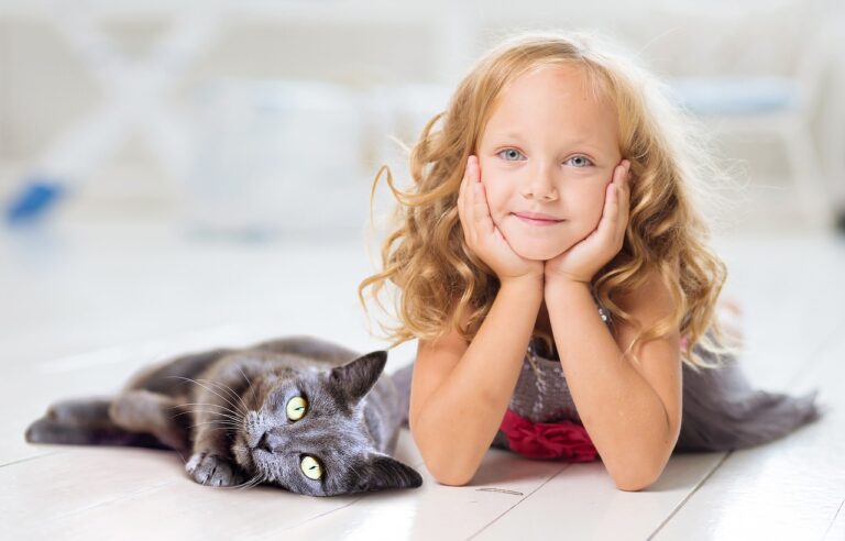 15 races de chats idéales avec les enfants