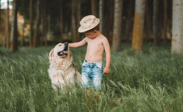 10 races de chiens les plus gentils avec les enfants