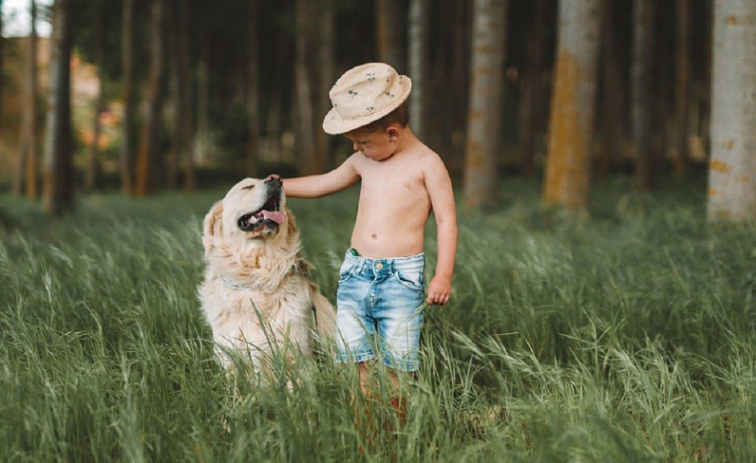 races de chiens les plus gentils avec les enfants