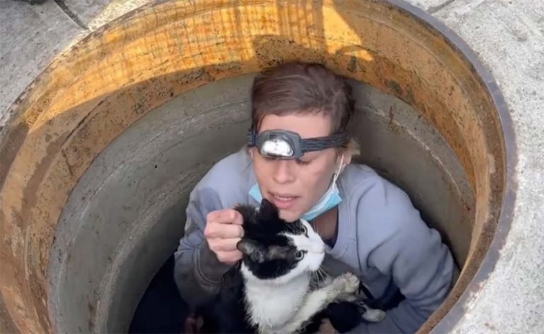 Une jeune femme se glisse dans un égout pour sauver un chat !