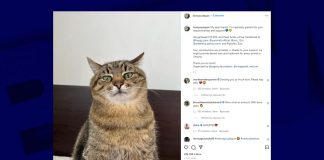 Stepan chat star Instagram