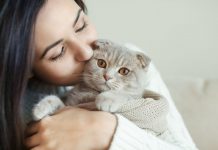 créer une complicité avec son chat