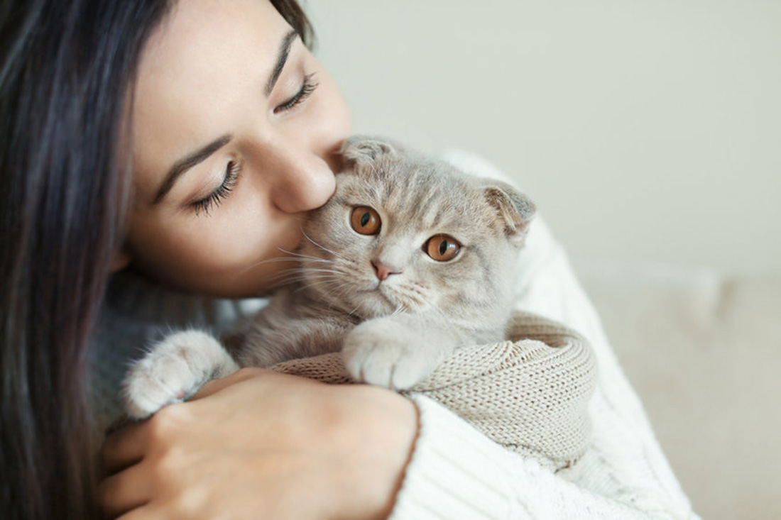 créer une complicité avec son chat