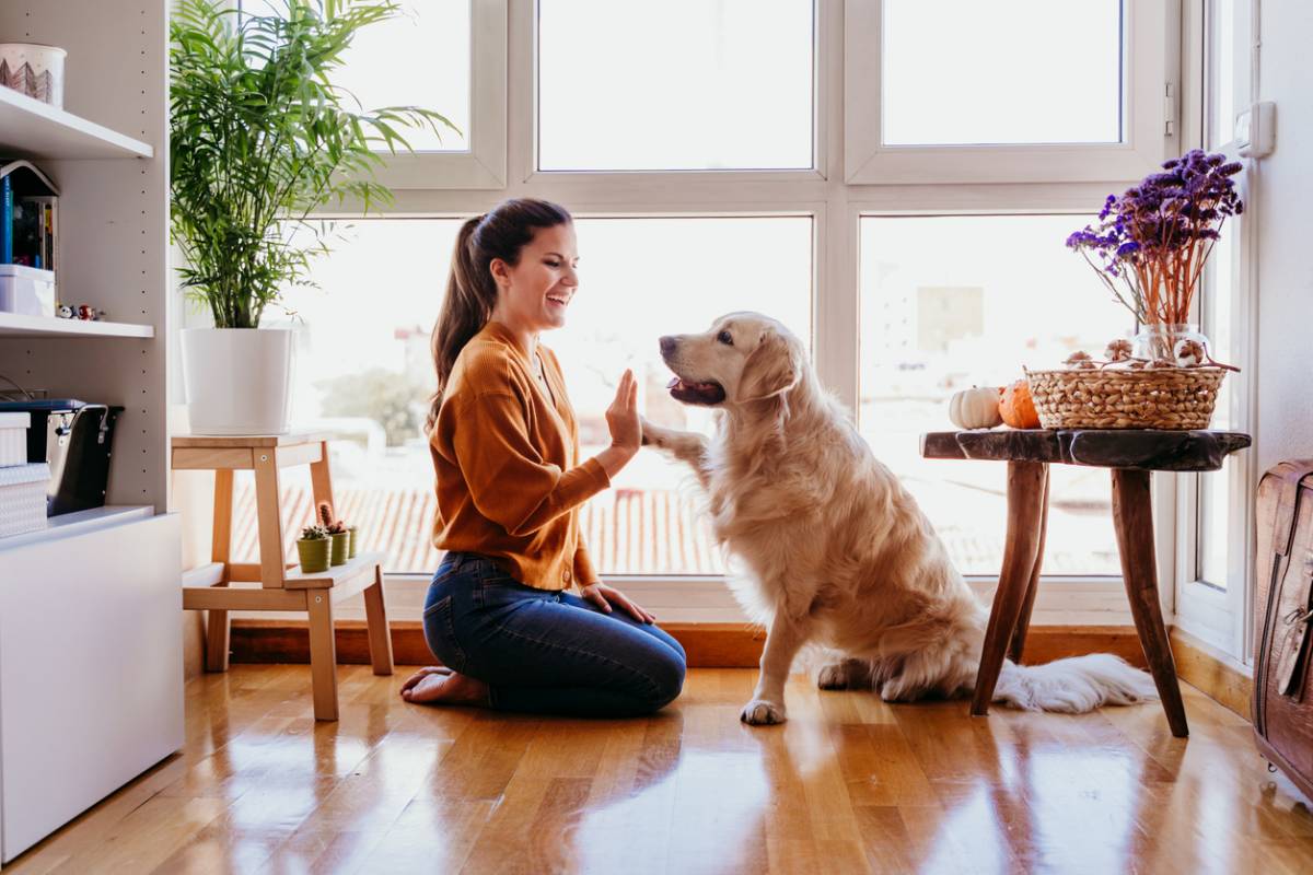 optimiser votre budget pour vos animaux