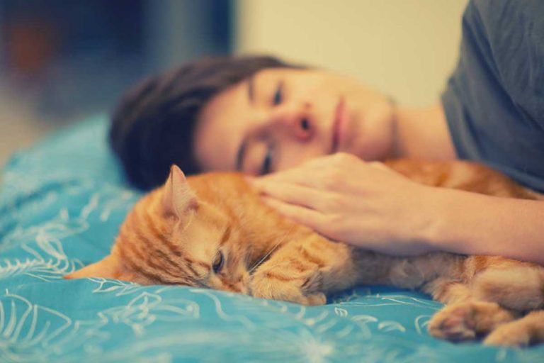 6 raisons de ne pas dormir avec votre chat