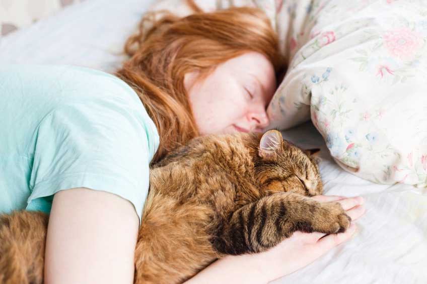 raisons de ne pas dormir avec votre chat