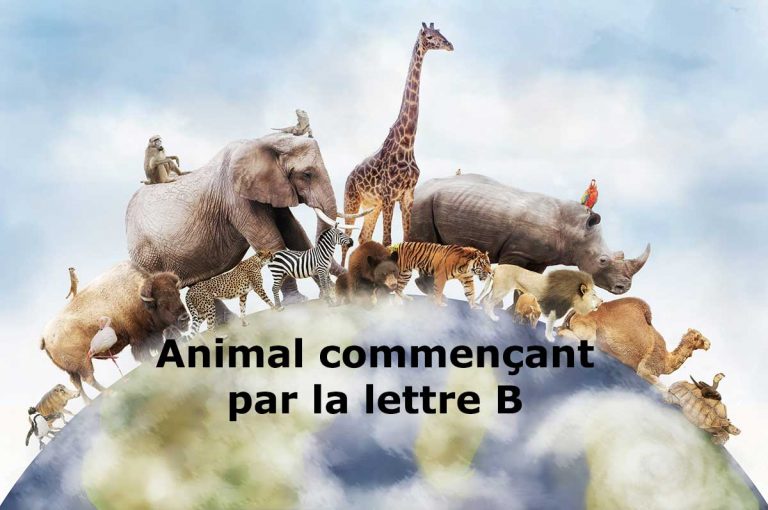 Animal en B : Les animaux commençant par la lettre B
