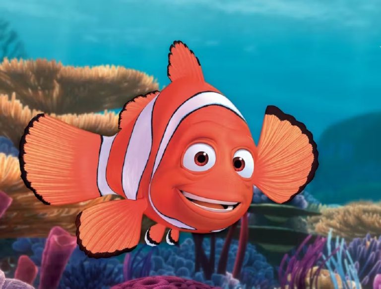 Quel animal est Nemo ?