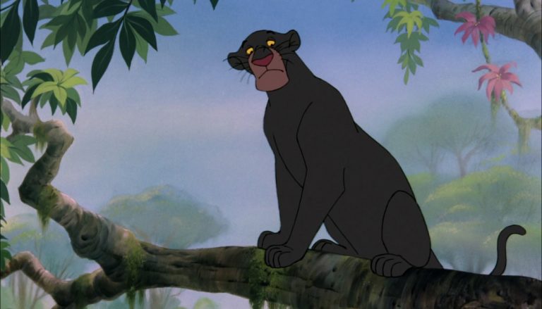 Quel animal est Bagheera