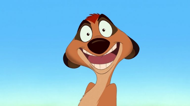 Quel animal est Timon ?