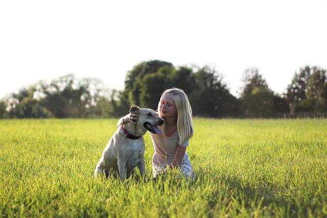 race de chien avec bébé