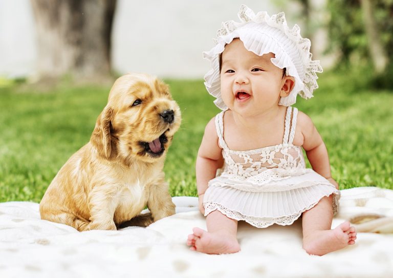 4 races de chien idéales si vous avez un bébé