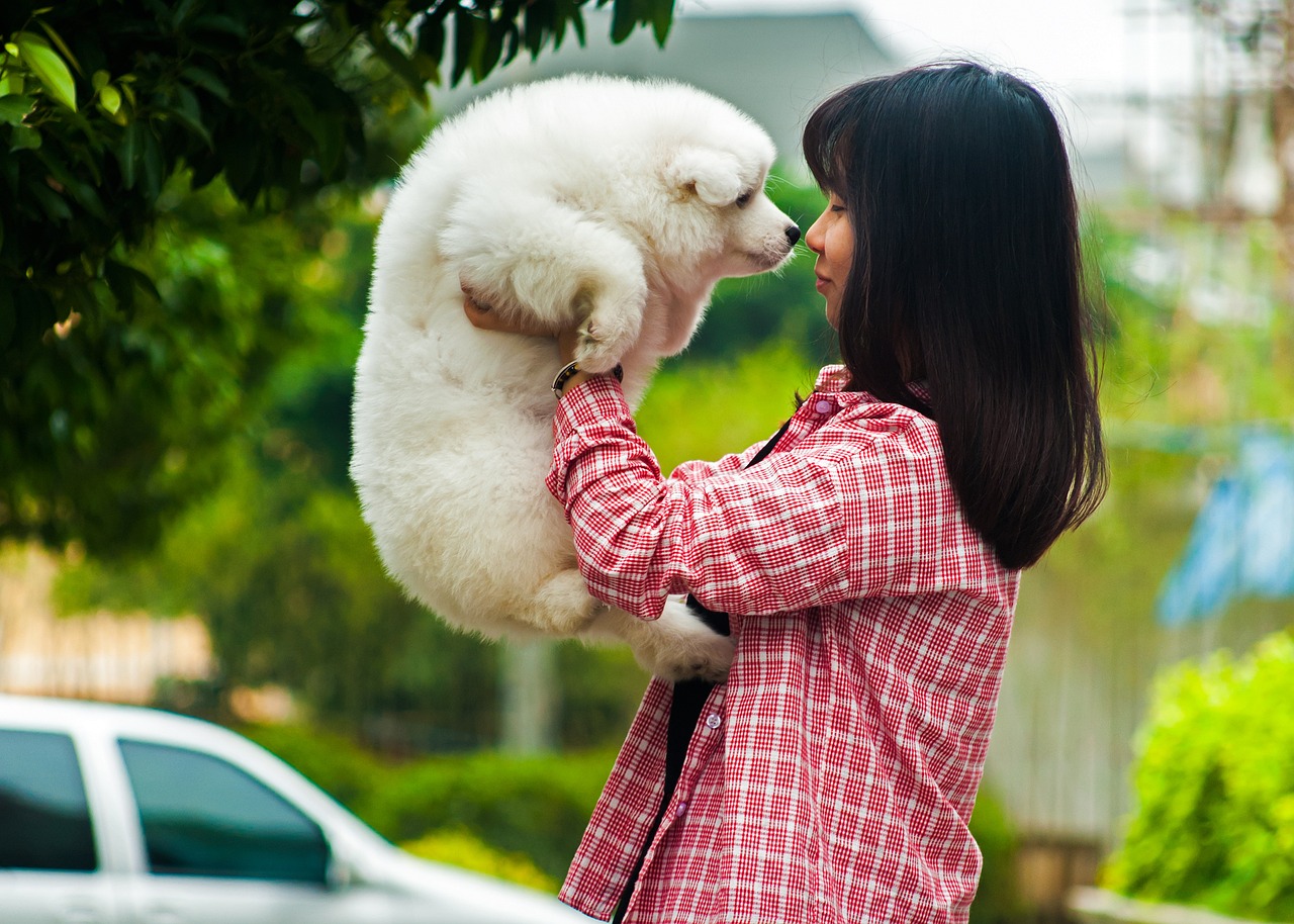 races de chien prendre dans vos bras