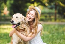 races de chien les plus affectueuses