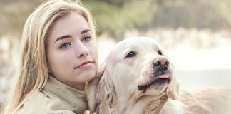 races de chien qui n’aiment pas être séparées de leur maitre