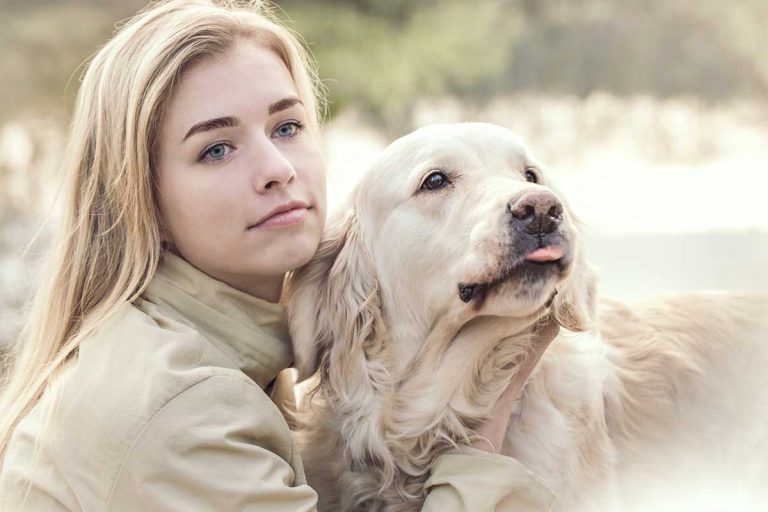 races de chien qui n’aiment pas être séparées de leur maitre