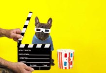 vidéos de chiens les plus étonnantes de la semaine