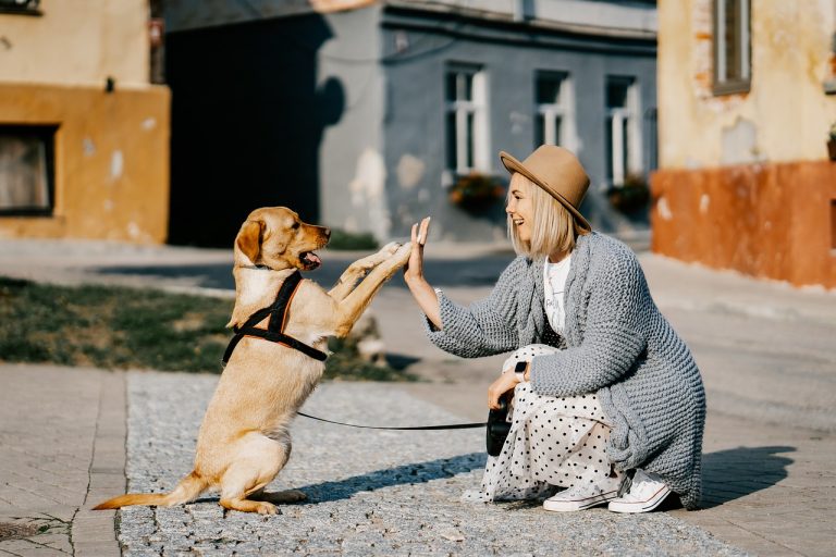 La meilleure race de chien adaptée pour chaque signe du zodiaque