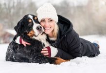 races de chien qui adorent les papouilles