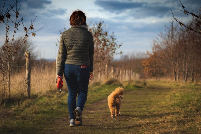 Un homme promenant son chien trouve une main humaine