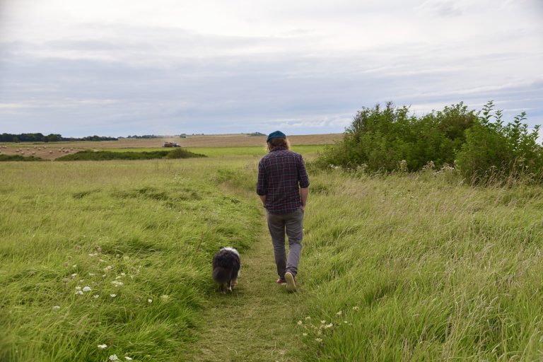 Quelles sont les races de chien qui vont emboiter le pas de leur maître ?