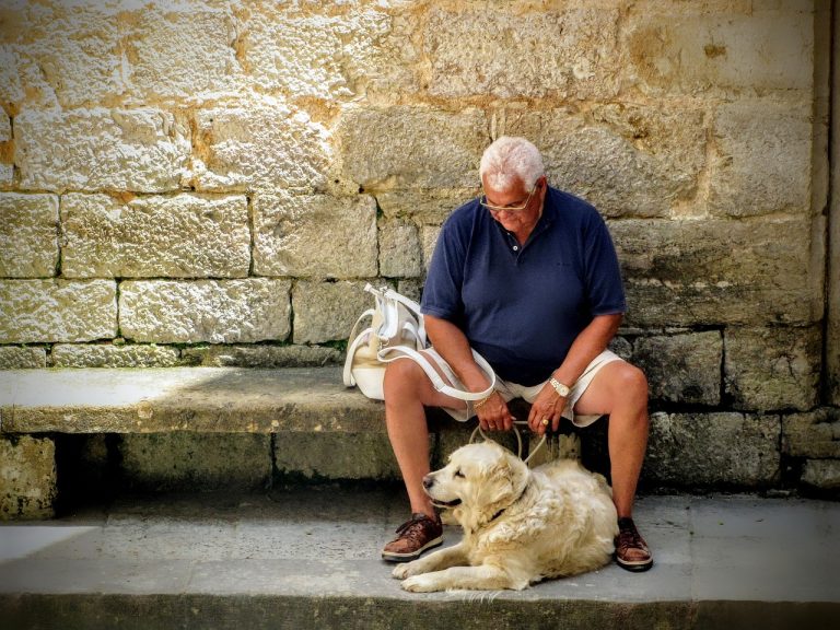 5 raisons pour lesquelles les retraités devraient adopter un chien