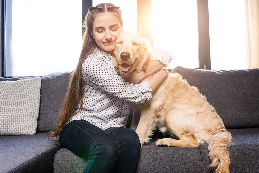 races de chien qui sont en harmonie avec leur maître