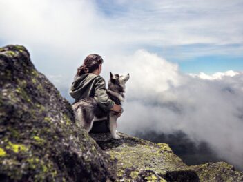 Un chien disparu est retrouvé sur une montagne isolée