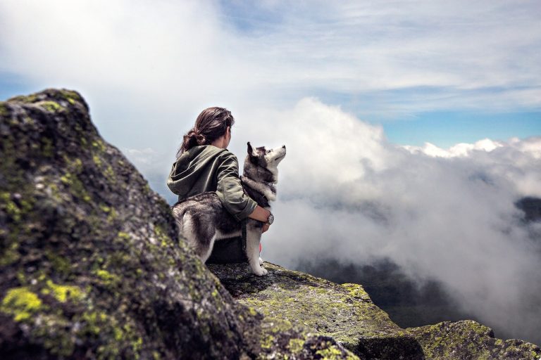 Un chien disparu est retrouvé sur une montagne isolée