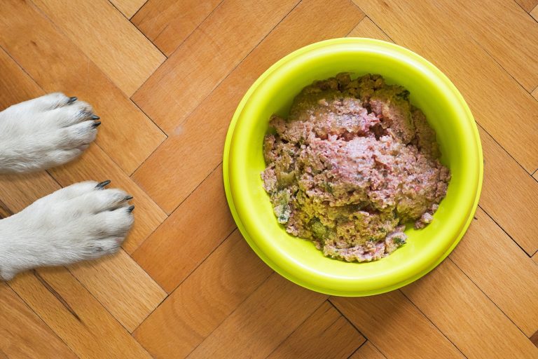 Compléments alimentaires pour chiens