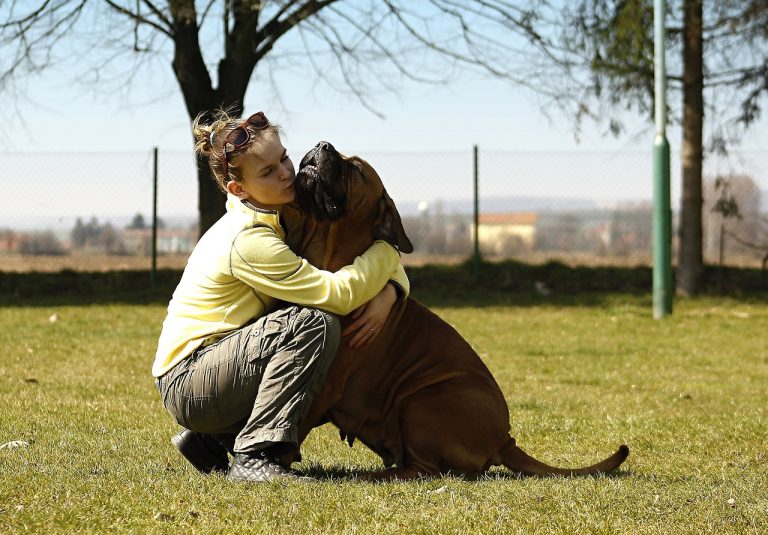 Voici les 8 races de chien qui font le plus attention à leur maître
