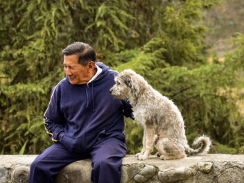 Voici 8 races de chien qui s’intéressent le plus à leur maître