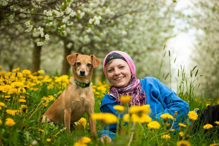 Comment devenir un parent de chien attentif